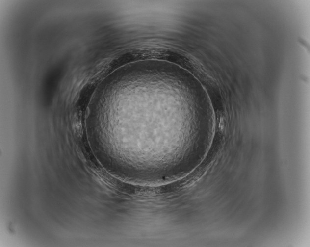 X0000099230771200804241452