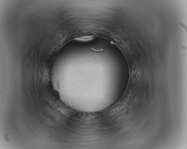 X0000099230772200804241452
