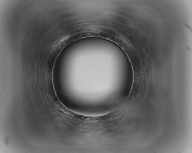 X0000099230773200804241452