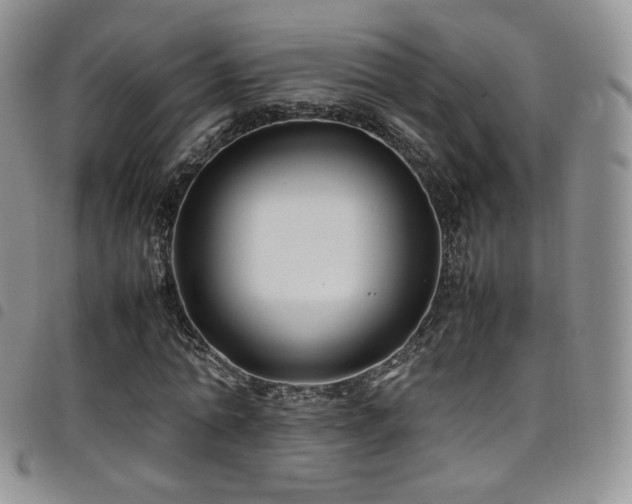 X0000099230774200804241452