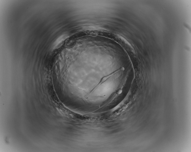 X0000099230775200804241452