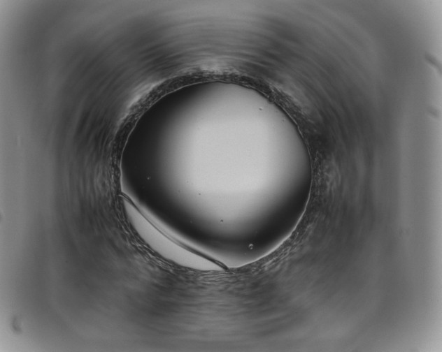 X0000099230776200804241452