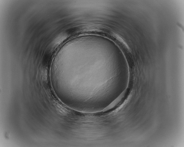 X0000099230777200804241452
