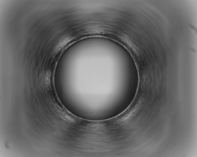 X0000099230778200804241452