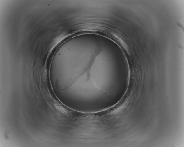 X0000099230779200804241452