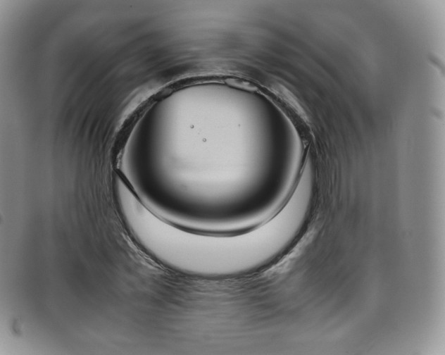 X0000099230781200804241452