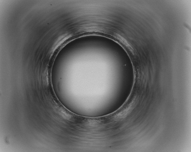 X0000099230782200804241452