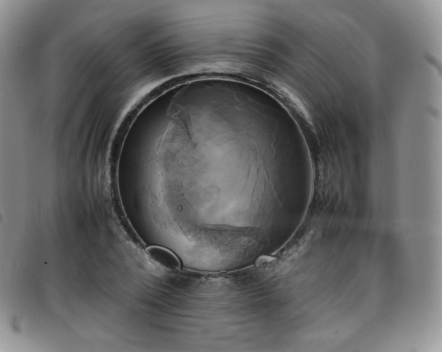 X0000099230784200804241452