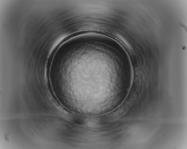 X0000099230788200804241452