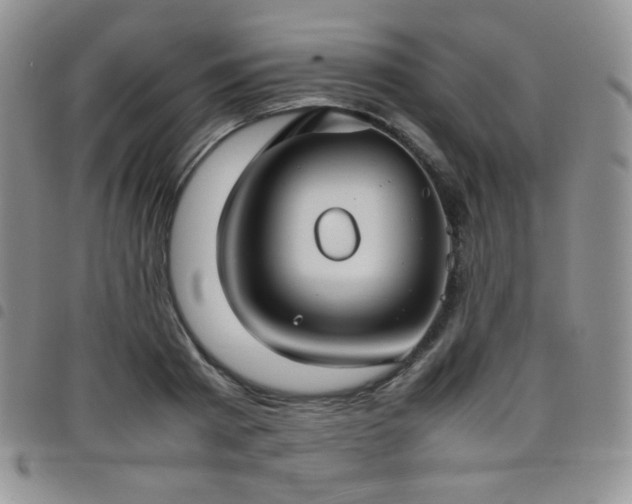 X0000099230793200804241452