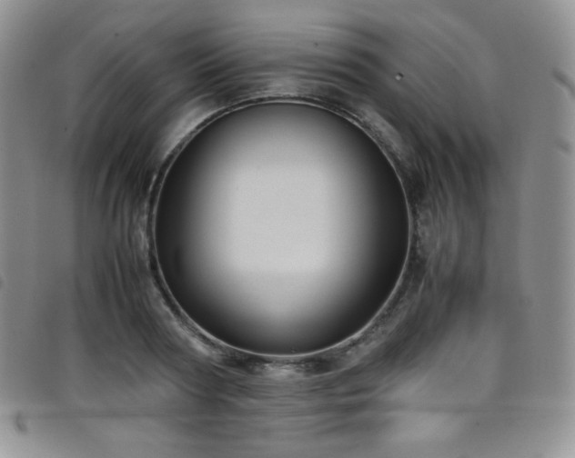 X0000099230794200804241452