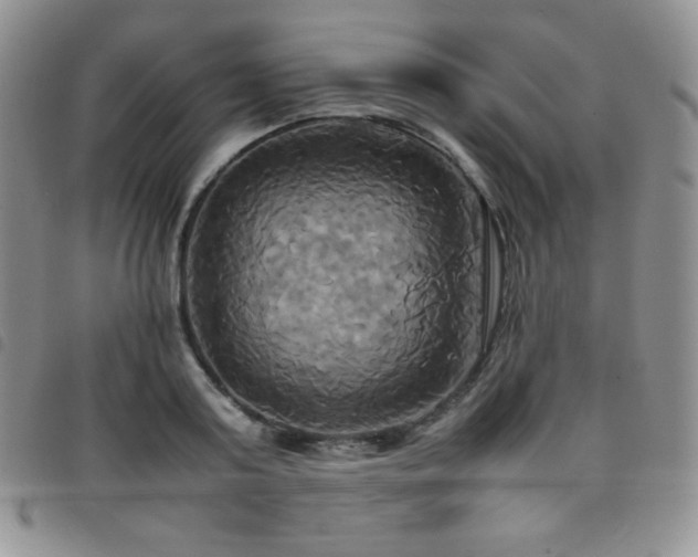 X0000099230795200804241452