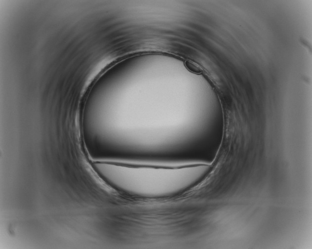 X0000099230796200804241452