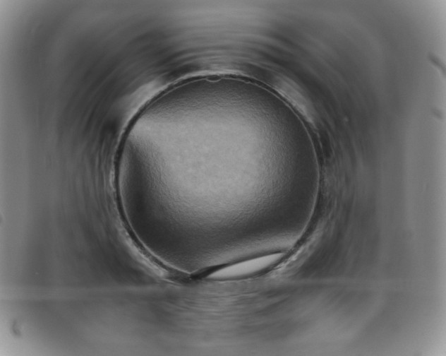 X0000099230797200804241452