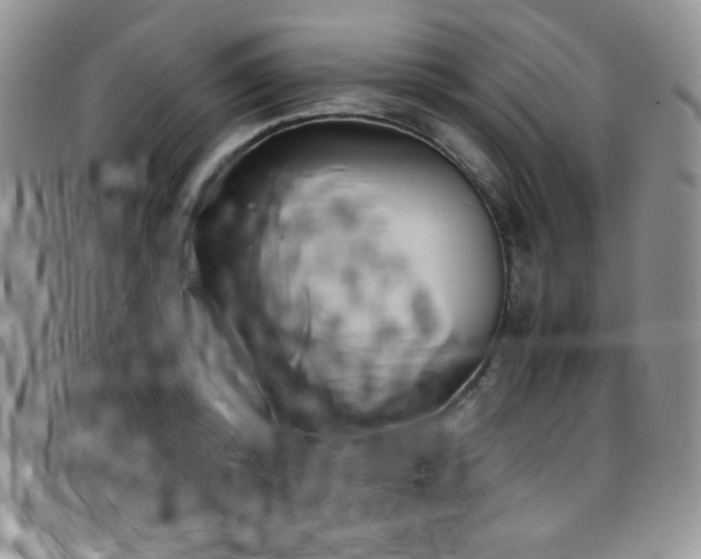 X0000099230800200804241452