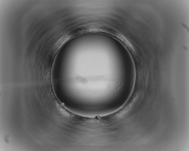 X0000099230801200804241452
