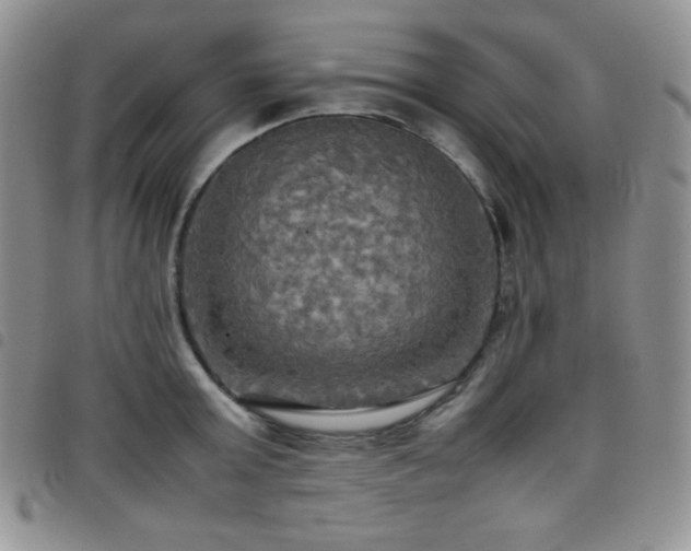 X0000099230803200804241452