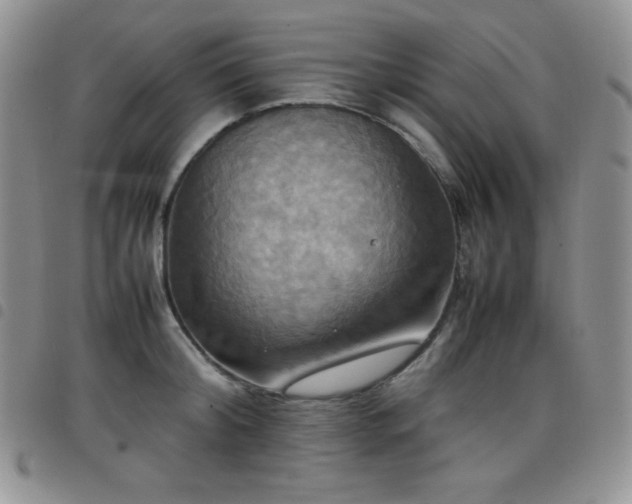 X0000099230804200804241452