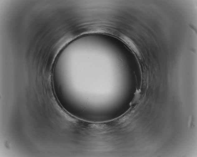 X0000099230805200804241452