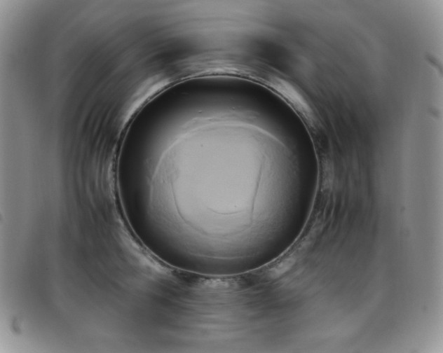 X0000099230806200804241451