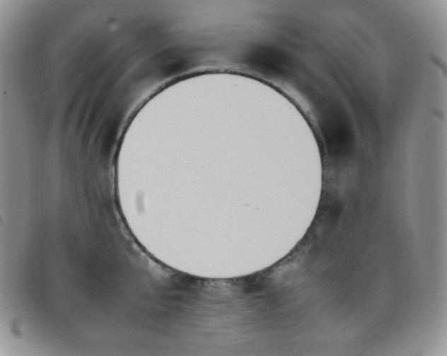 X0000099230807200804241451
