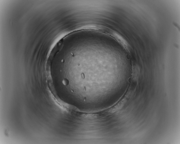 X0000099230808200804241451