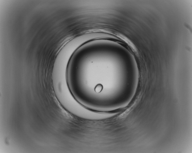 X0000099230809200804241451