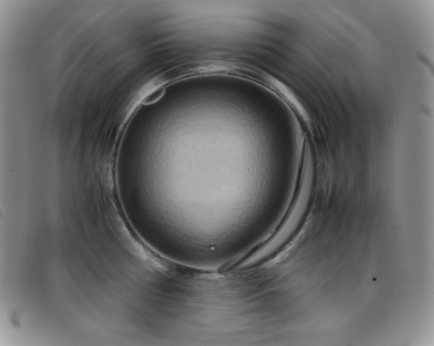 X0000099230810200804241451