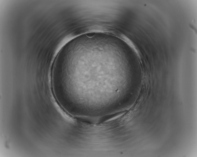 X0000099230811200804241451