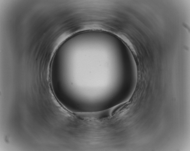 X0000099230815200804241451