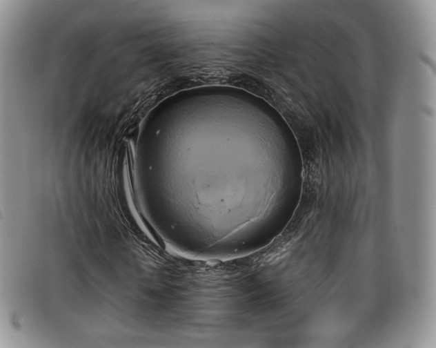 X0000099230818200804241451
