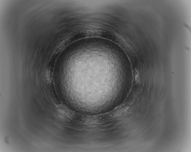 X0000099230819200804241451