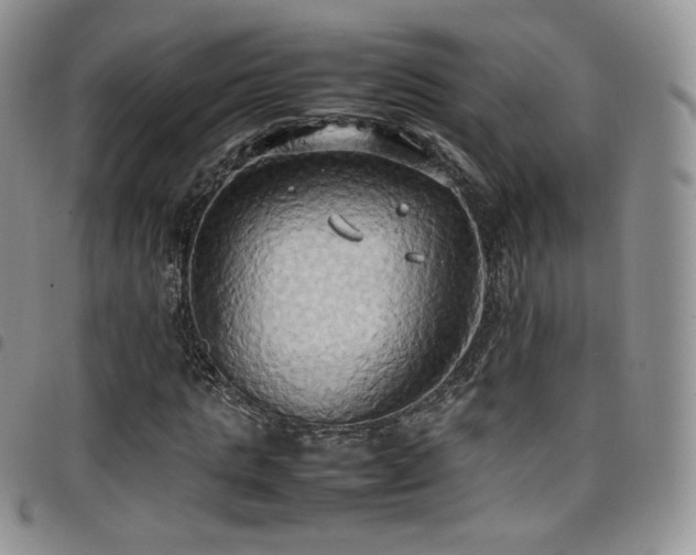X0000099230821200804241451