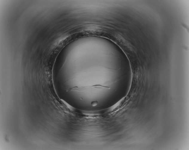X0000099230822200804241451
