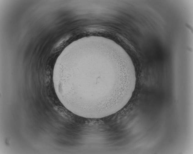 X0000099230824200804241451