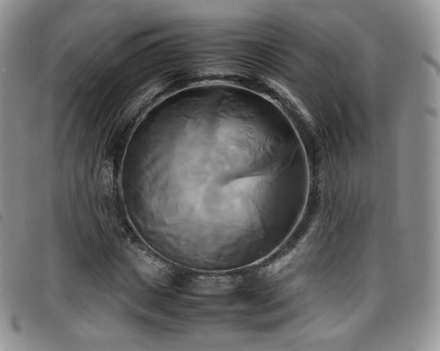 X0000099230825200804241451