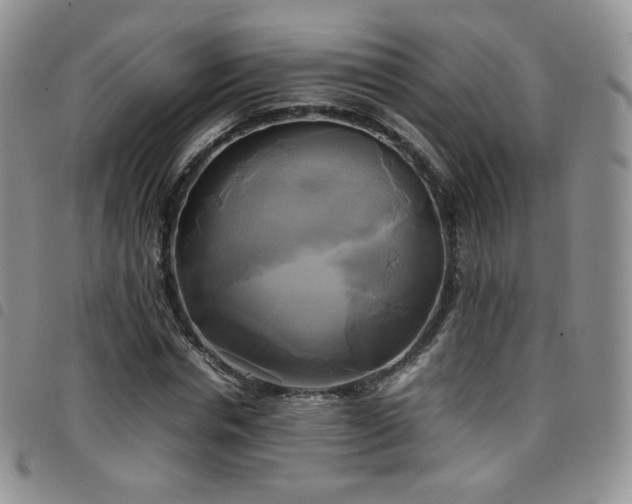 X0000099230826200804241451