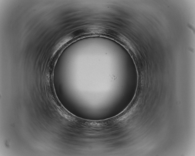 X0000099230827200804241451