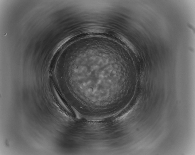 X0000099230829200804241451