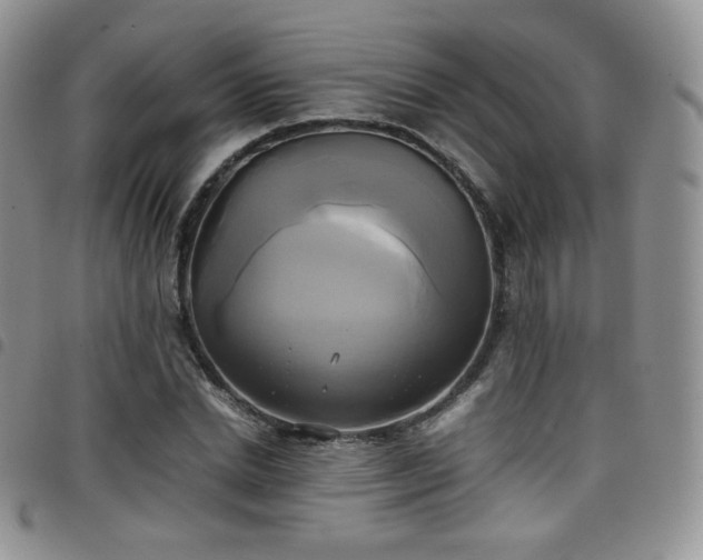X0000099230830200804241451