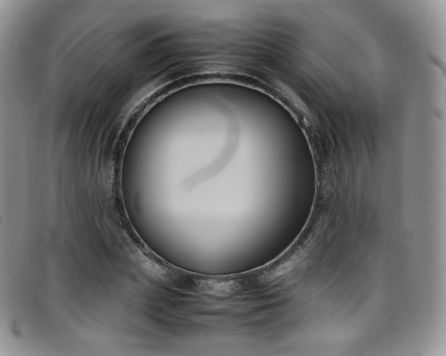 X0000099230831200804241451