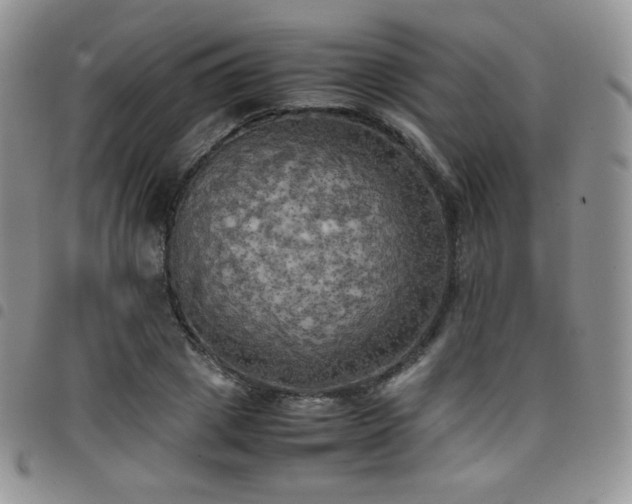 X0000099230833200804241451
