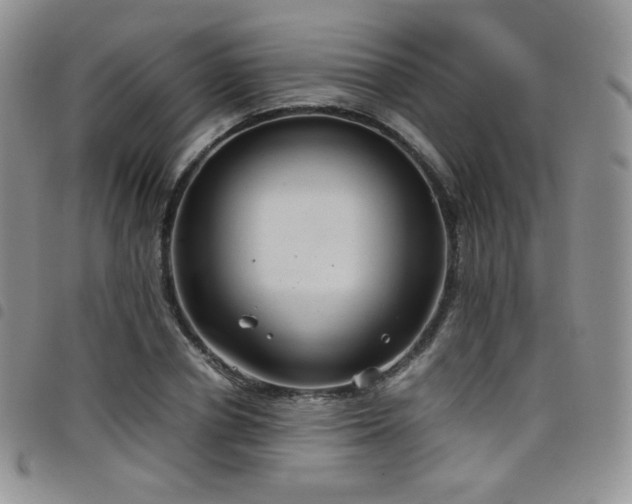 X0000099230834200804241451