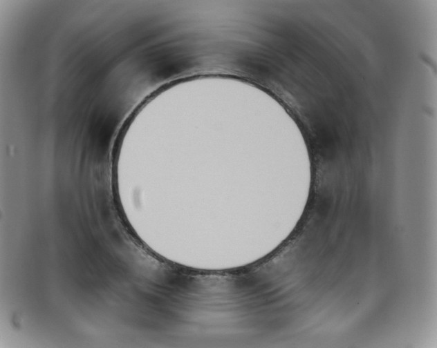 X0000099230836200804241451