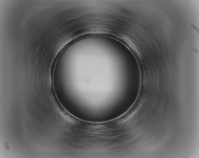 X0000099230837200804241451