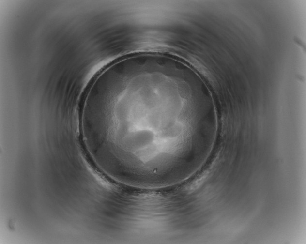 X0000099230838200804241451