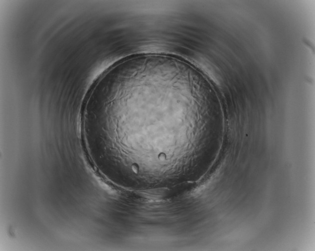 X0000099230839200804241451