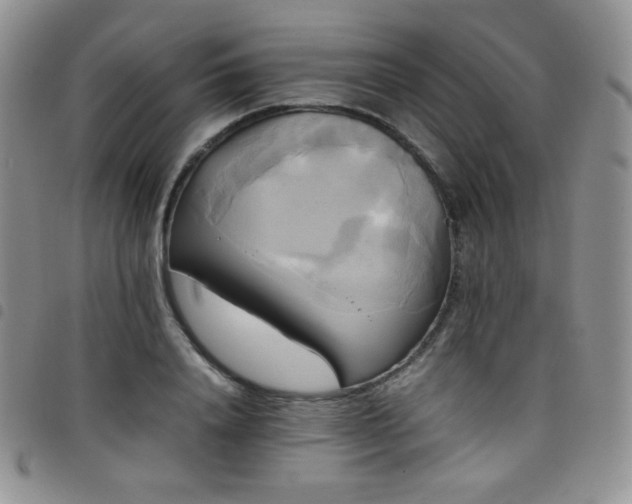X0000099230840200804241451