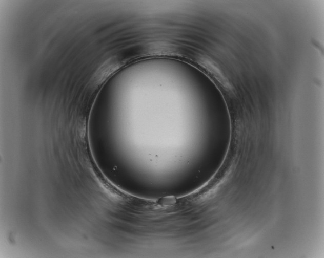 X0000099230841200804241451