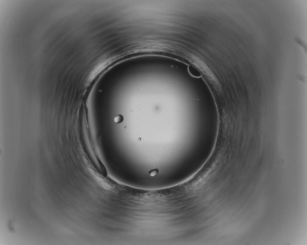 X0000099230842200804241451